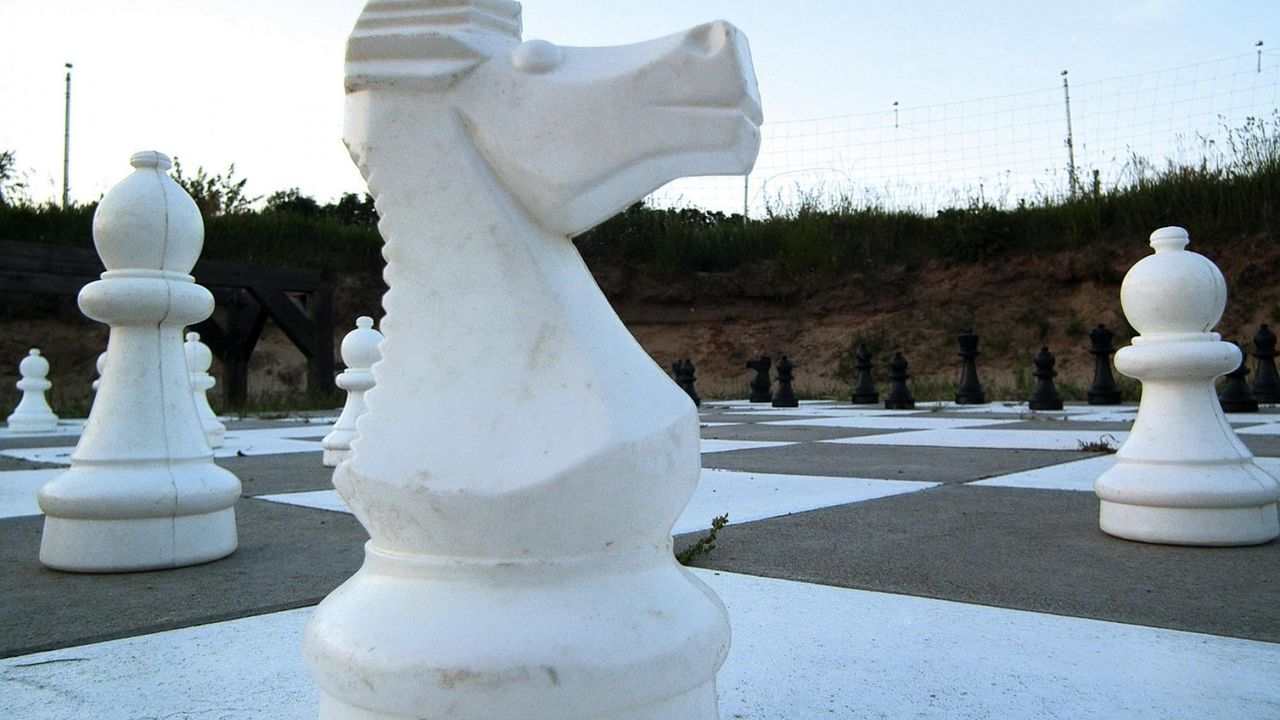 GardenSummer GardenSummer